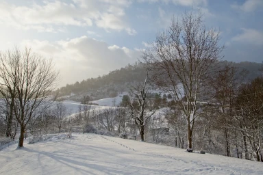 A snowy Christmas morning in Waynesville North Carolina